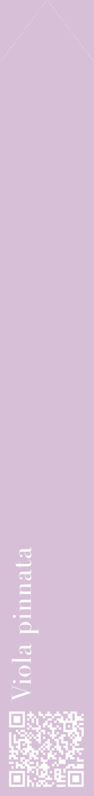 Étiquette de : Viola pinnata - format c - style blanche54_simplebod avec qrcode et comestibilité