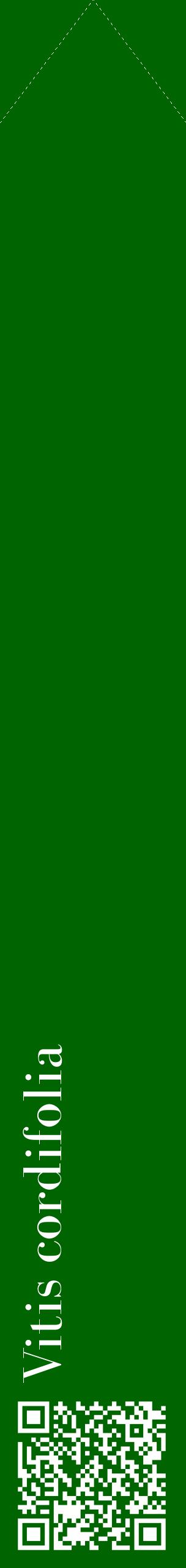 Étiquette de : Vitis cordifolia - format c - style blanche8_simplebod avec qrcode et comestibilité