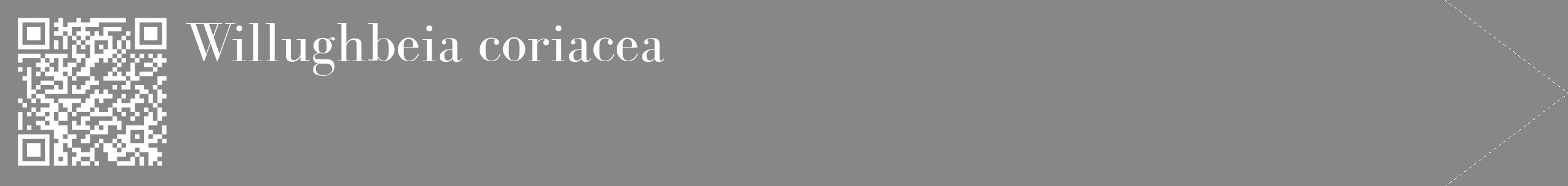Étiquette de : Willughbeia coriacea - format c - style blanche12_simple_simplebod avec qrcode et comestibilité