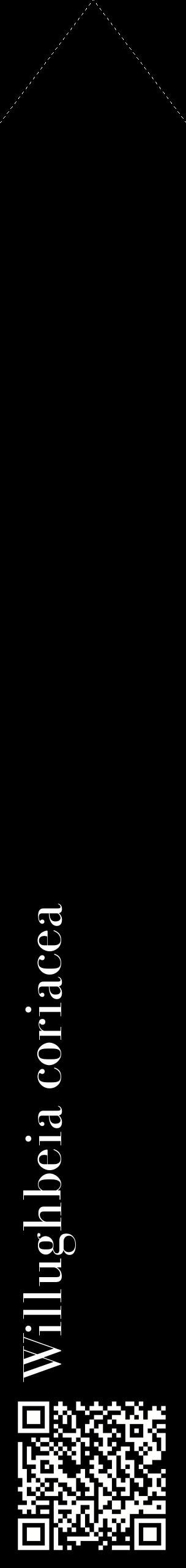 Étiquette de : Willughbeia coriacea - format c - style blanche59_simplebod avec qrcode et comestibilité