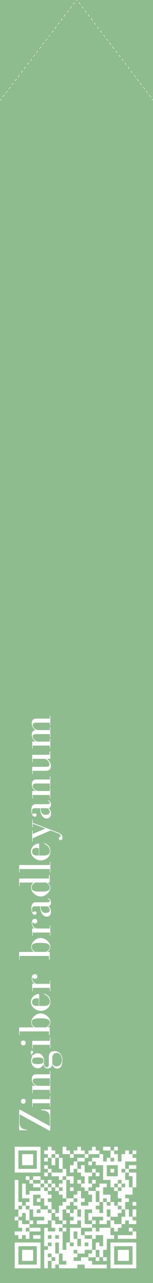 Étiquette de : Zingiber bradleyanum - format c - style blanche13_simplebod avec qrcode et comestibilité