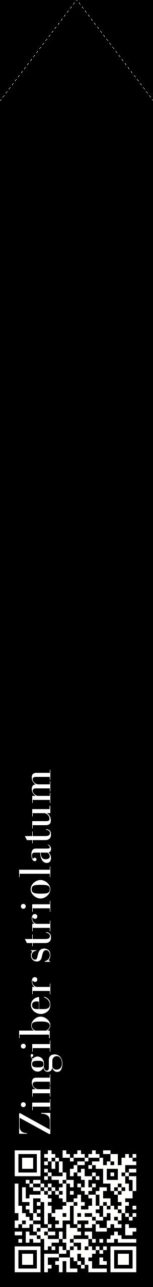 Étiquette de : Zingiber striolatum - format c - style blanche59_simplebod avec qrcode et comestibilité