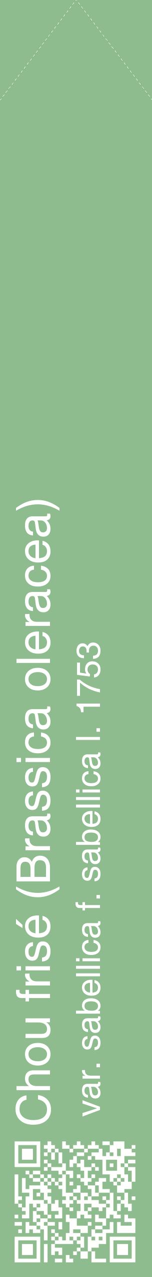 Étiquette de : Brassica oleracea var. sabellica f. sabellica l. 1753 - format c - style blanche13_simplehel avec qrcode et comestibilité