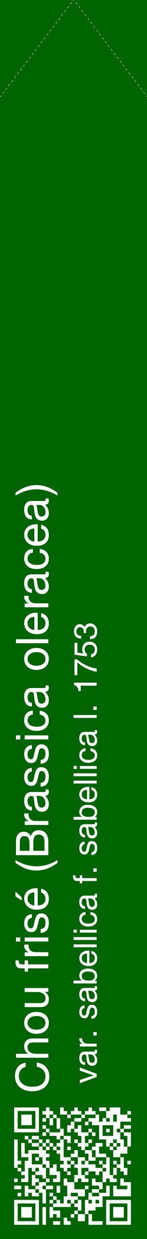 Étiquette de : Brassica oleracea var. sabellica f. sabellica l. 1753 - format c - style blanche8_simplehel avec qrcode et comestibilité