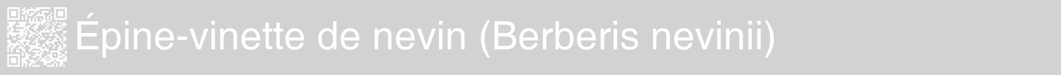 Étiquette de : Berberis nevinii - format a - style blanche14hel avec qrcode et comestibilité