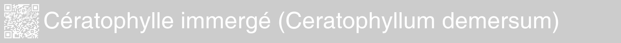 Étiquette de : Ceratophyllum demersum - format a - style blanche0hel avec qrcode et comestibilité