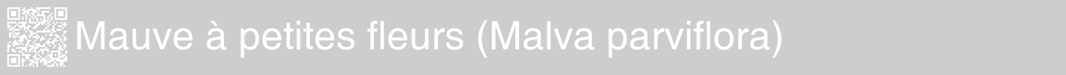 Étiquette de : Malva parviflora - format a - style blanche41hel avec qrcode et comestibilité