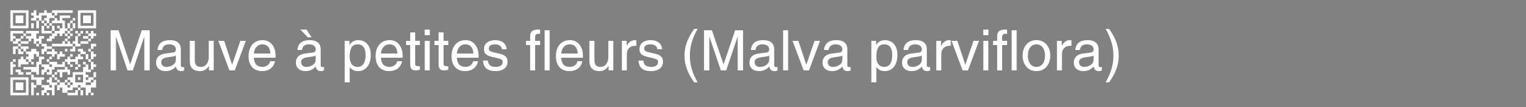 Étiquette de : Malva parviflora - format a - style blanche50hel avec qrcode et comestibilité