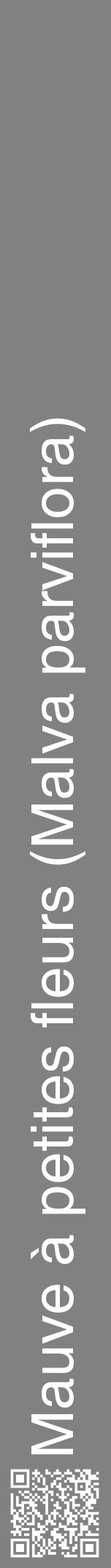Étiquette de : Malva parviflora - format a - style blanche50hel avec qrcode et comestibilité - position verticale