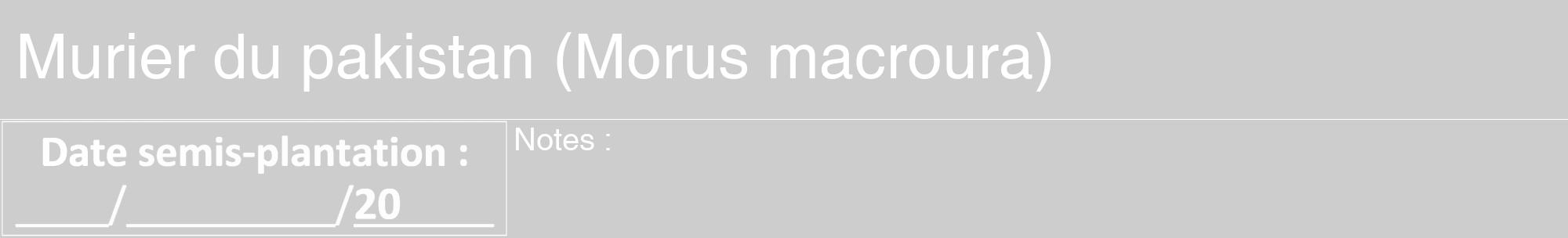 Étiquette de : Morus macroura - format a - style blanche41hel avec comestibilité
