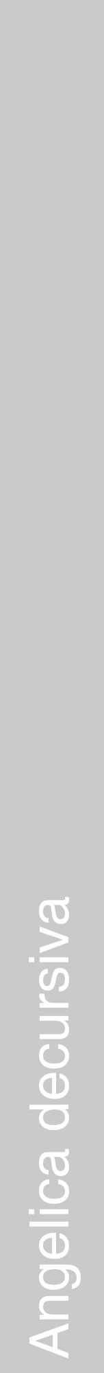 Étiquette de : Angelica decursiva - format a - style blanche21hel avec comestibilité - position verticale