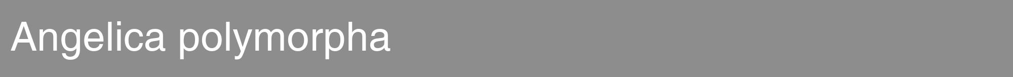 Étiquette de : Angelica polymorpha - format a - style blanche2hel avec comestibilité
