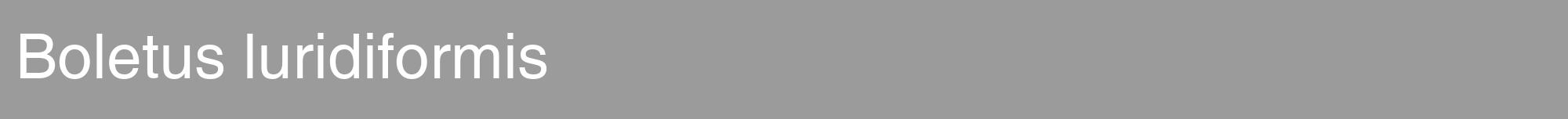 Étiquette de : Boletus luridiformis - format a - style blanche52hel avec comestibilité