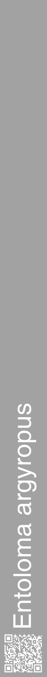Étiquette de : Entoloma argyropus - format a - style blanche38hel avec qrcode et comestibilité - position verticale