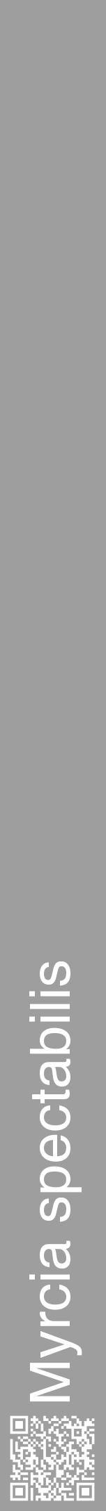 Étiquette de : Myrcia spectabilis - format a - style blanche23hel avec qrcode et comestibilité - position verticale