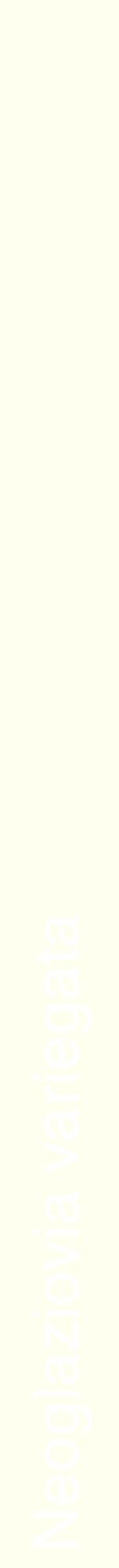 Étiquette de : Neoglaziovia variegata - format a - style blanche19hel avec comestibilité