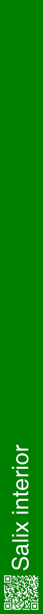 Étiquette de : Salix interior - format a - style blanche9hel avec qrcode et comestibilité