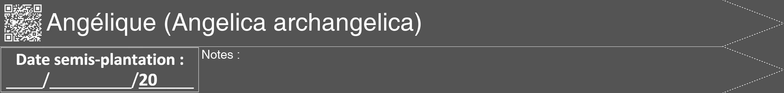 Étiquette de : Angelica archangelica - format b - style blanche36hel avec qrcode et comestibilité