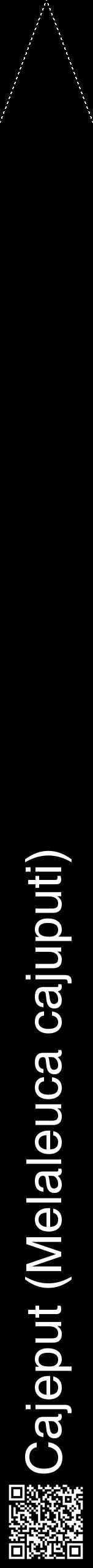 Étiquette de : Melaleuca cajuputi - format b - style blanche59hel avec qrcode et comestibilité