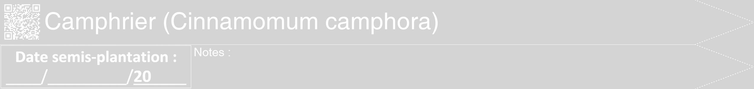 Étiquette de : Cinnamomum camphora - format b - style blanche40hel avec qrcode et comestibilité