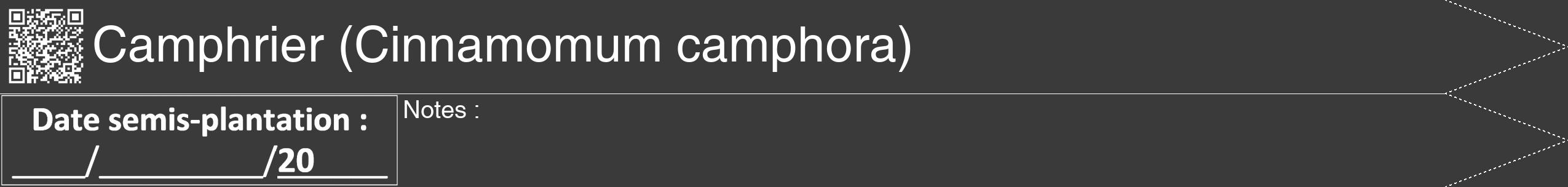 Étiquette de : Cinnamomum camphora - format b - style blanche8hel avec qrcode et comestibilité