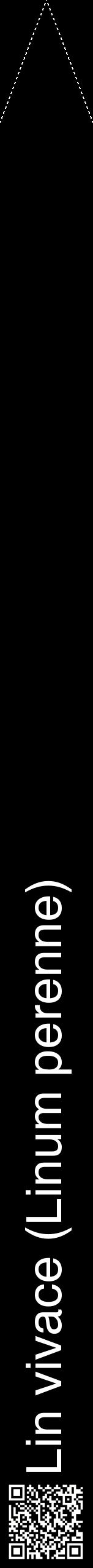 Étiquette de : Linum perenne - format b - style blanche59hel avec qrcode et comestibilité