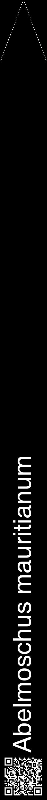 Étiquette de : Abelmoschus mauritianum - format b - style blanche59hel avec qrcode et comestibilité