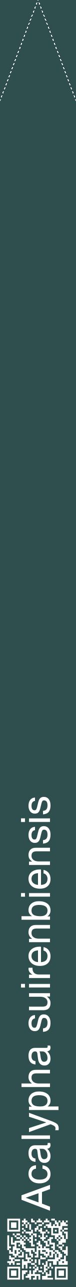 Étiquette de : Acalypha suirenbiensis - format b - style blanche58hel avec qrcode et comestibilité