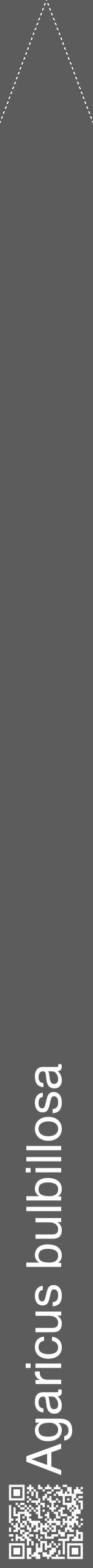 Étiquette de : Agaricus bulbillosa - format b - style blanche49hel avec qrcode et comestibilité - position verticale