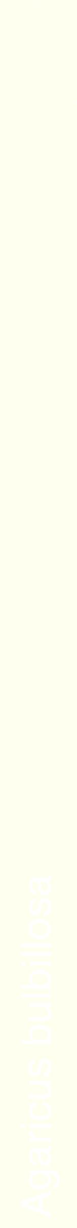 Étiquette de : Agaricus bulbillosa - format b - style blanche19hel avec comestibilité