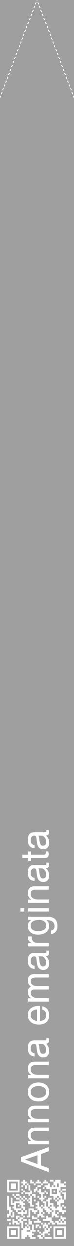 Étiquette de : Annona emarginata - format b - style blanche24hel avec qrcode et comestibilité - position verticale