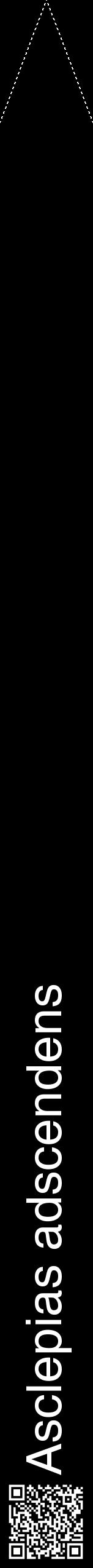 Étiquette de : Asclepias adscendens - format b - style blanche59hel avec qrcode et comestibilité