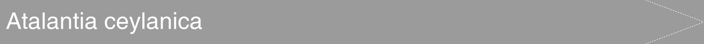 Étiquette de : Atalantia ceylanica - format b - style blanche52hel avec comestibilité