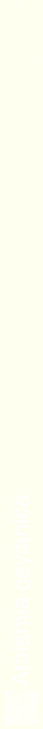 Étiquette de : Atalantia ceylanica - format b - style blanche19hel avec qrcode et comestibilité
