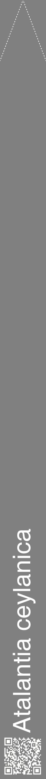 Étiquette de : Atalantia ceylanica - format b - style blanche57simplehel avec qrcode et comestibilité - position verticale