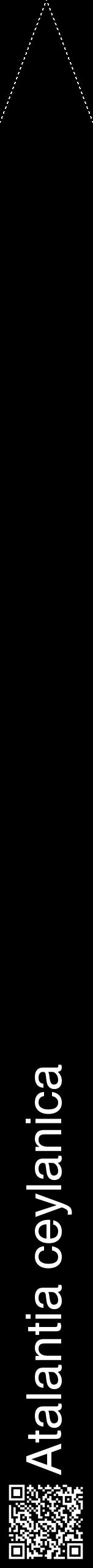 Étiquette de : Atalantia ceylanica - format b - style blanche59hel avec qrcode et comestibilité