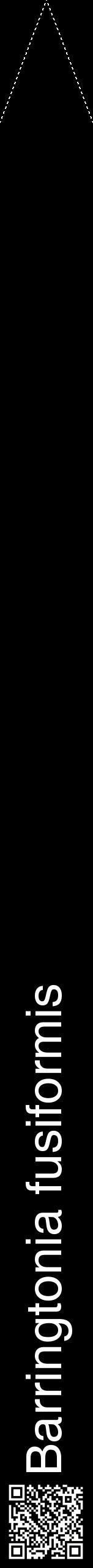 Étiquette de : Barringtonia fusiformis - format b - style blanche59hel avec qrcode et comestibilité
