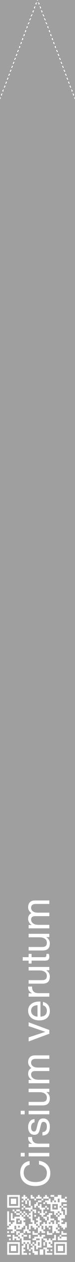 Étiquette de : Cirsium verutum - format b - style blanche24hel avec qrcode et comestibilité - position verticale
