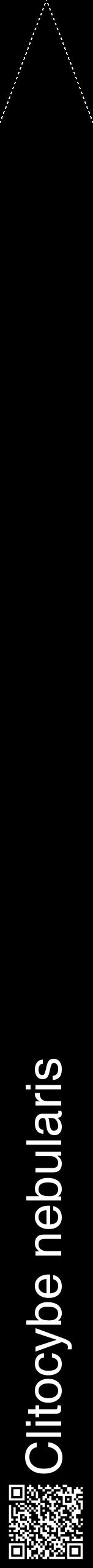 Étiquette de : Clitocybe nebularis - format b - style blanche59hel avec qrcode et comestibilité