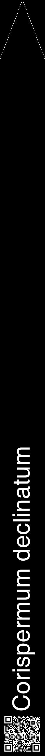 Étiquette de : Corispermum declinatum - format b - style blanche59hel avec qrcode et comestibilité