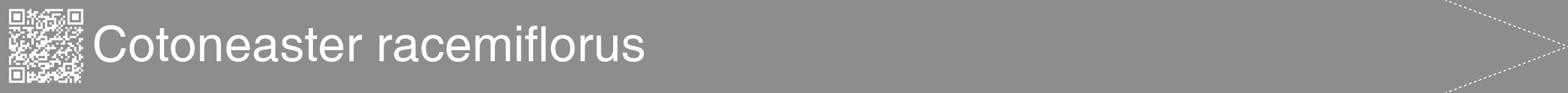 Étiquette de : Cotoneaster racemiflorus - format b - style blanche2hel avec qrcode et comestibilité
