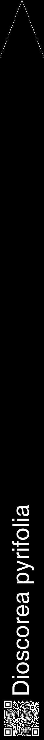 Étiquette de : Dioscorea pyrifolia - format b - style blanche59hel avec qrcode et comestibilité