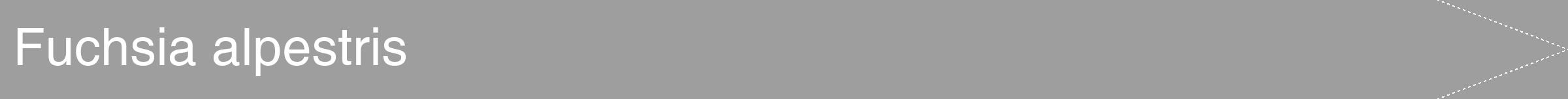 Étiquette de : Fuchsia alpestris - format b - style blanche42hel avec comestibilité