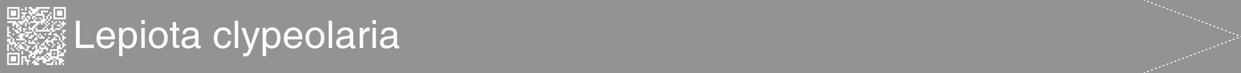 Étiquette de : Lepiota clypeolaria - format b - style blanche44hel avec qrcode et comestibilité