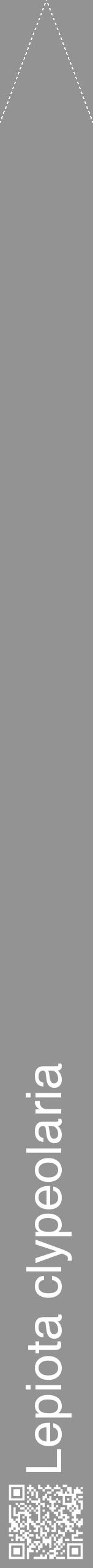 Étiquette de : Lepiota clypeolaria - format b - style blanche44hel avec qrcode et comestibilité - position verticale