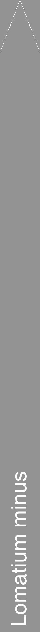 Étiquette de : Lomatium minus - format b - style blanche44hel avec comestibilité - position verticale