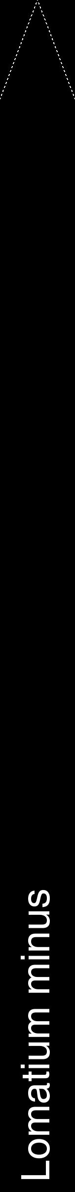 Étiquette de : Lomatium minus - format b - style blanche59hel avec comestibilité - position verticale
