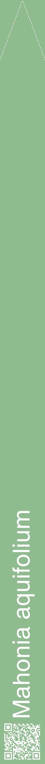 Étiquette de : Mahonia aquifolium - format b - style blanche13hel avec qrcode et comestibilité