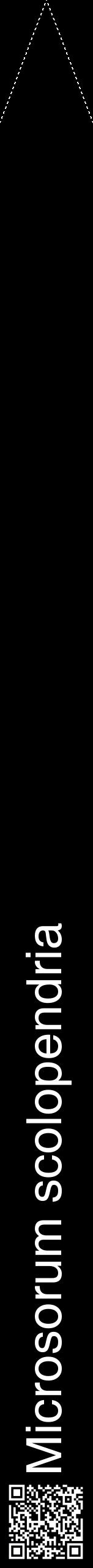 Étiquette de : Microsorum scolopendria - format b - style blanche59hel avec qrcode et comestibilité