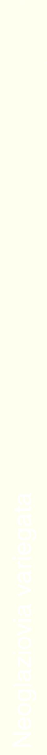 Étiquette de : Neoglaziovia variegata - format b - style blanche19hel avec comestibilité